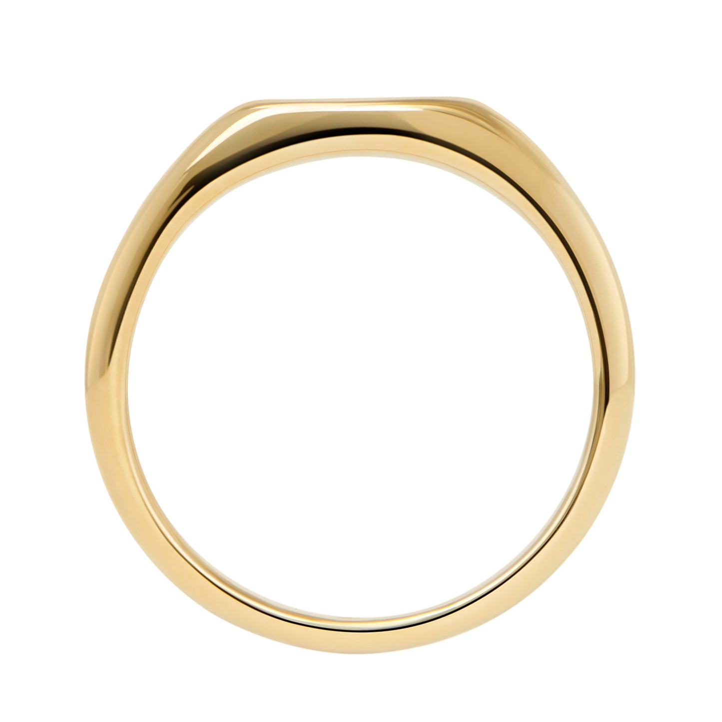 Tarnish resistant stainless steel oval signet ring safe for sensitive skin MIAJWL