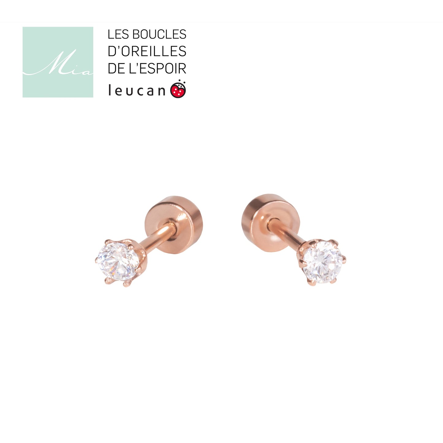 Boucles d'oreilles à vis