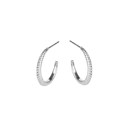 Stainless Steel silver twisted hoop earrings boucles d'oreilles anneaux torsades argent inox T221E001AR